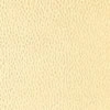 Parchment