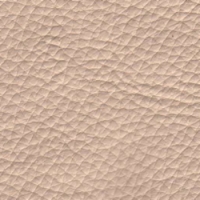 Oyster Genuine Leather