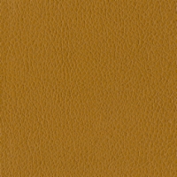 Butterscotch Brisa Wide