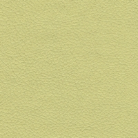 Celery Brisa Wide