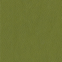 Iguana Brisa Wide