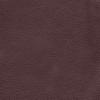 Coffee Bean (QS)